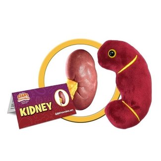 Giant Microbes GIANT Microbes - Kidney