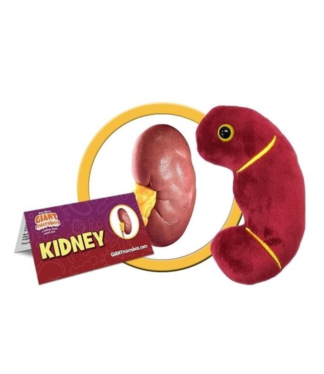 GIANT Microbes - Kidney