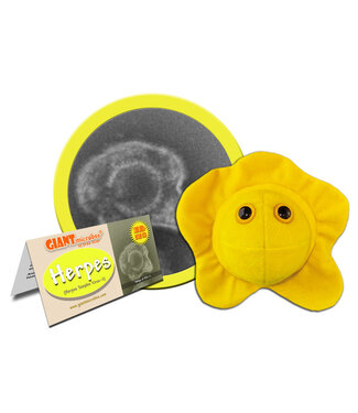 Giant Microbes GIANT Microbes - Herpes (Herpes Simplex Virus 2)
