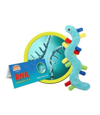 Giant Microbes GIANT Microbes - RNA (Ribonucleic Acid)