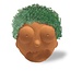 Grow Morty: The Chia Adventure Awaits!