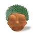 Grow Morty: The Chia Adventure Awaits!