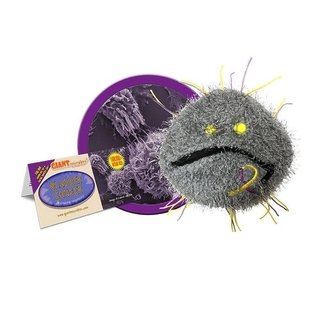 Giant Microbes GIANT microbes - Bladder Cancer