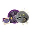 GIANT microbes - Bladder Cancer