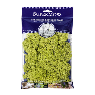 Supermoss Chartreuse Preserved Reindeer Moss, 2oz.