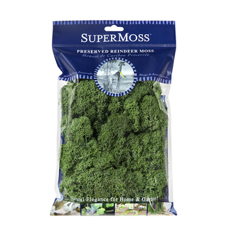 Supermoss Preserved Reindeer Moss, Basil