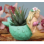 Mermaid Baby: Your Mini Planter Splash!