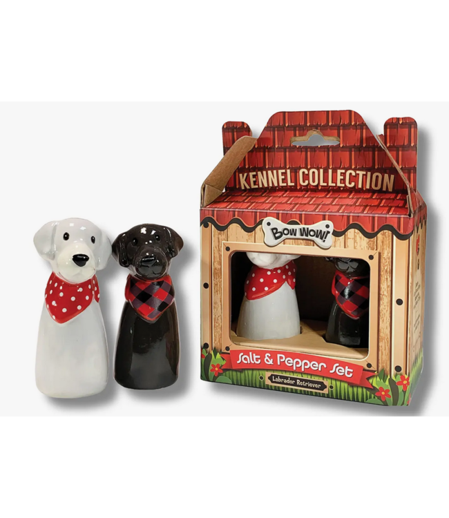 Kennel Club Black and White Lab S&P Ziya Blue