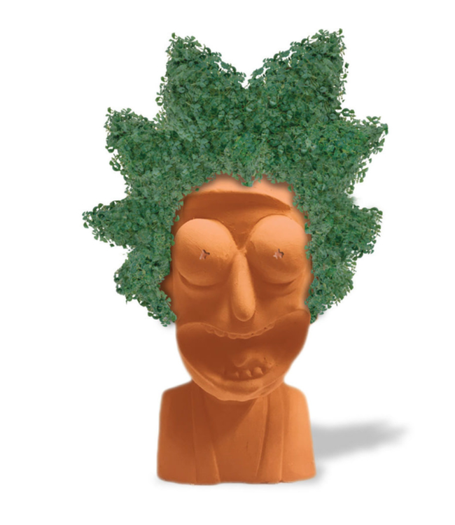 Grow Your Own RICK: Chia Style!