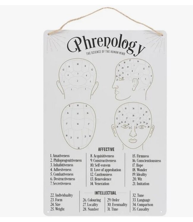 Phrenology Map Metal Sign