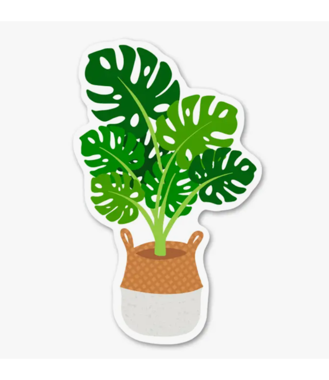 Boho Monstera Plant Sticker