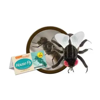 Giant Microbes GIANT Microbes - House Fly Plush