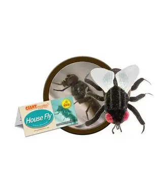 Giant Microbes GIANT Microbes - House Fly Plush