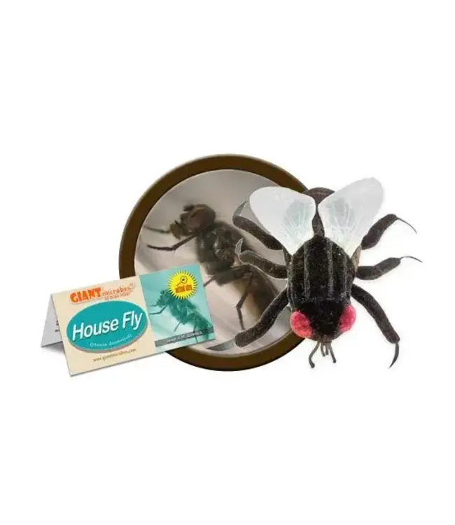 GIANT Microbes - House Fly Plush