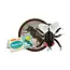 GIANT Microbes - House Fly Plush