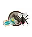 GIANT Microbes - House Fly Plush