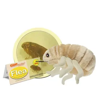Giant Microbes GIANT Microbes - Flea Plush