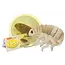GIANT Microbes - Flea Plush