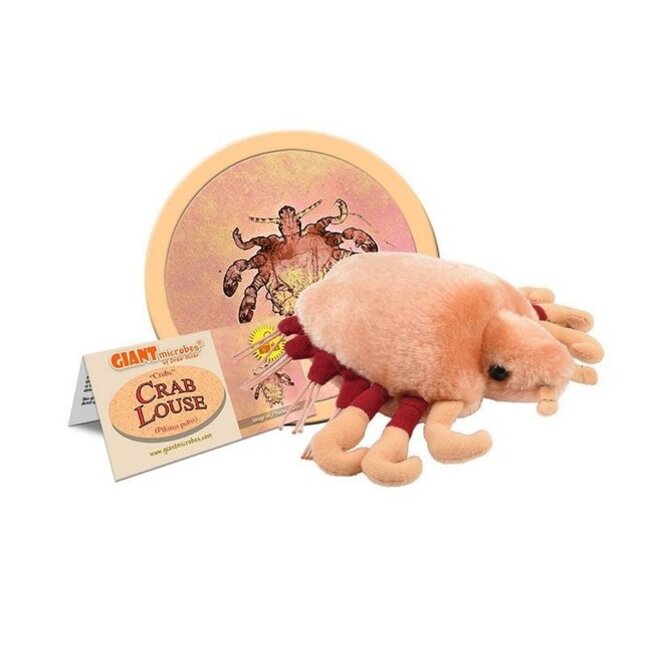 GIANT microbes - Crab Louse Plush