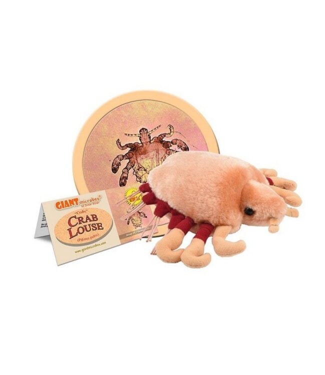 GIANT microbes - Crab Louse Plush