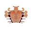 GIANT microbes - Crab Louse Plush