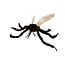 Giant Microbes Aedes Mosquito Plush - Learn with Fun!