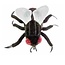 GIANT Microbes - House Fly Plush
