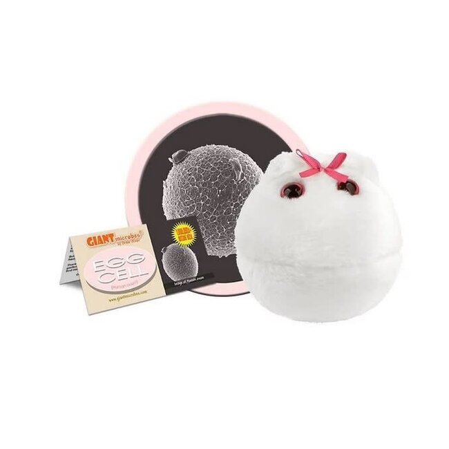 GIANT Microbes - Egg Cell