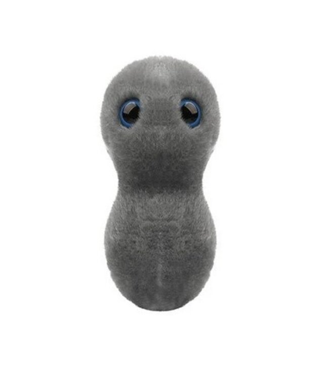 GIANT MIcrobes - Gonorrhea - Clap
