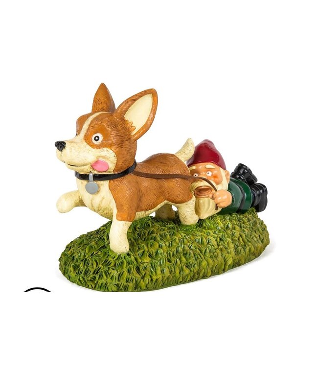 Giddy Up! Pup-tastic Gnome Fun!