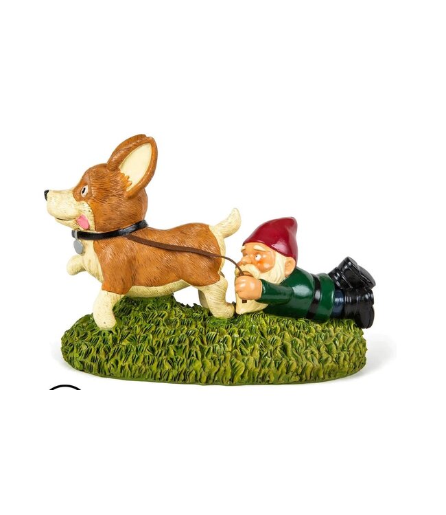Giddy Up! Pup-tastic Gnome Fun!
