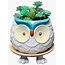 Hoots the Owl: Your Footsie Planter Pal!
