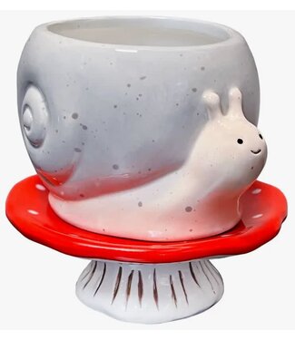 Streamline Snail & Mushroom Footsie Planter