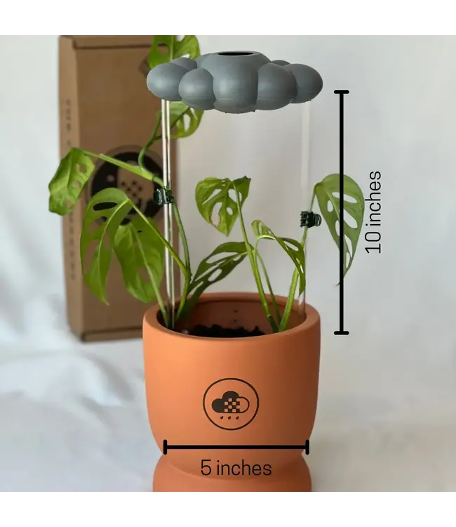 Stormy Dripping Rain Cloud