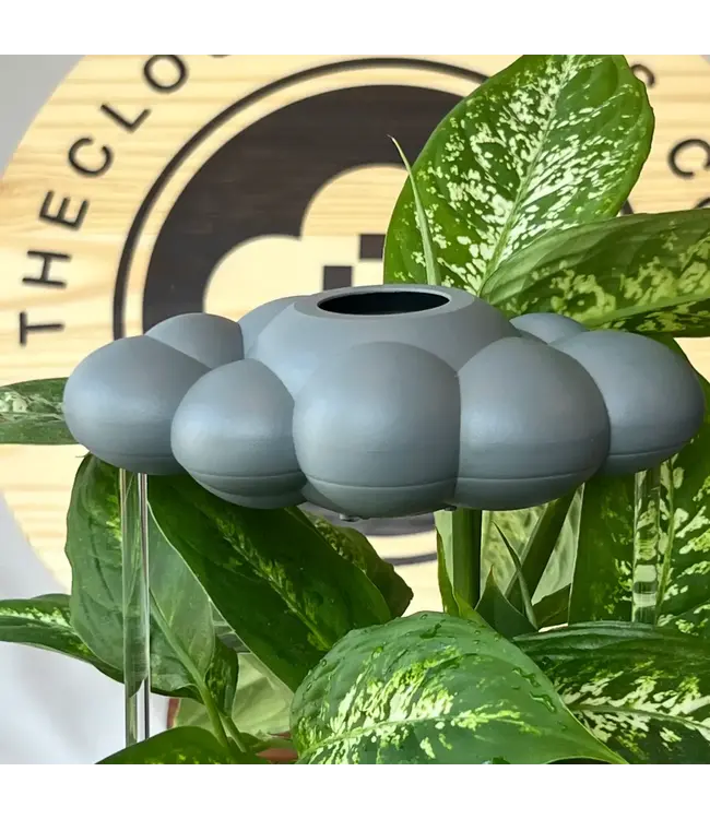 Stormy Dripping Rain Cloud