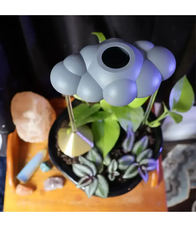 Stormy Dripping Rain Cloud