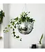 Get Funky with Your Foliage: Bubblegum Stuff's 8" Disco Ball Hanging Planter!