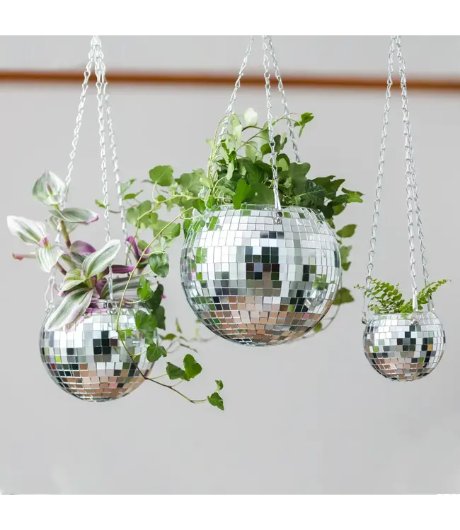 Get Funky with Your Foliage: Bubblegum Stuff's 8" Disco Ball Hanging Planter!
