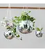 Get Funky with Your Foliage: Bubblegum Stuff's 8" Disco Ball Hanging Planter!
