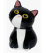 Split Kitty S&P Set