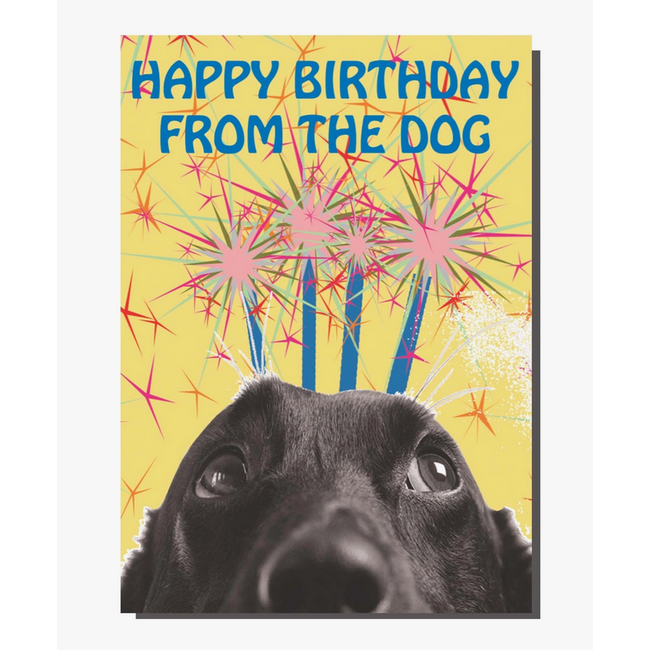 Happy Birthday From The Dog Greeting  Card