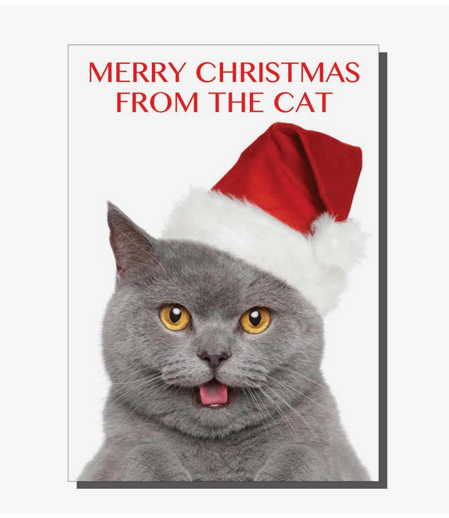 Merry Christmas From The Cat Card