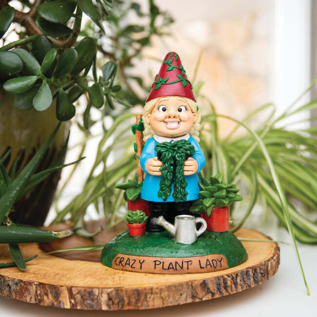 Garden's Whimsical Guardian: Crazy Plant Lady Gnome