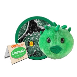 Giant Microbes Chlamydia