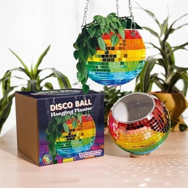 Groovy Greenery: Hangin' with Jabco's Rainbow Disco Ball Planter
