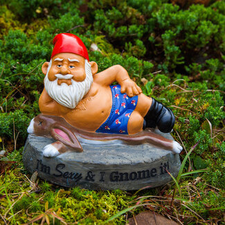 Big Mouth Inc. Big Mouth Sexy and I Gnome It - Garden Gnome