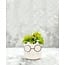 Large Cat Face Planter With Glasses-4.5"H