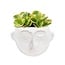 Round Face Wall Planter-6"W