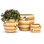 Bee-yond Adorable: Small Beehive Planter