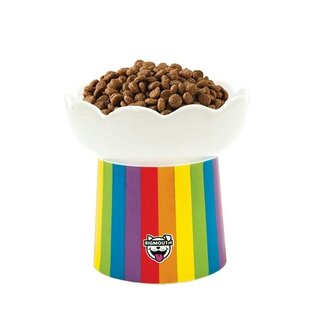 Big Mouth Inc. Rainbow Elevated Cat Bowl